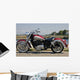 Motorcycle Wall Mural