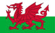 Wales Flag Wall Mural