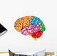 lateral Human brain Wall Decal