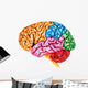 lateral Human brain Wall Decal