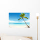 Caribbean Sea and Coconut