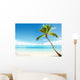 Caribbean Sea and Coconut