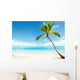 Caribbean Sea and Coconut