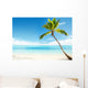 Caribbean Sea and Coconut