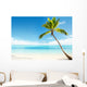Caribbean Sea and Coconut