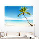 Caribbean Sea and Coconut