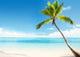 Caribbean Sea and Coconut