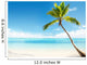 Caribbean Sea and Coconut