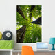 4 trees Wall Mural