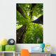 4 trees Wall Mural