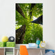 4 trees Wall Mural