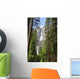 Yosemite Falls
