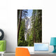 Yosemite Falls