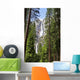 Yosemite Falls