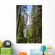Yosemite Falls