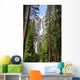 Yosemite Falls