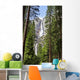 Yosemite Falls