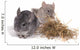 chinchillas isolÃ©s sur fond blanc Wall Mural