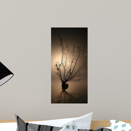 Corail01 Wall Mural
