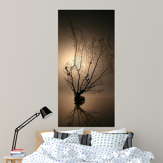 Corail01 Wall Mural