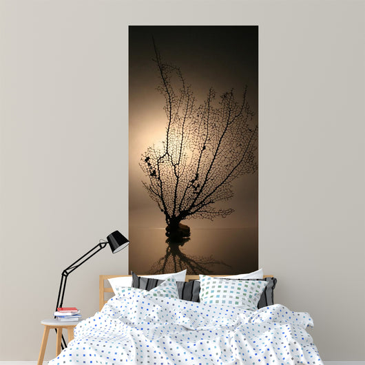 Corail01 Wall Mural