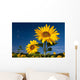 Sunflowers Wall Mural