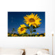 Sunflowers Wall Mural