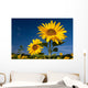 Sunflowers Wall Mural
