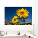 Sunflowers Wall Mural
