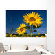 Sunflowers Wall Mural