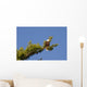 king of the sky Wall Mural
