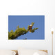 king of the sky Wall Mural