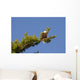 king of the sky Wall Mural