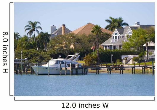 clearwater Wall Mural