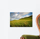 Irish Landscape Wall Mural