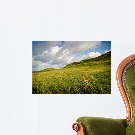 Irish Landscape Wall Mural