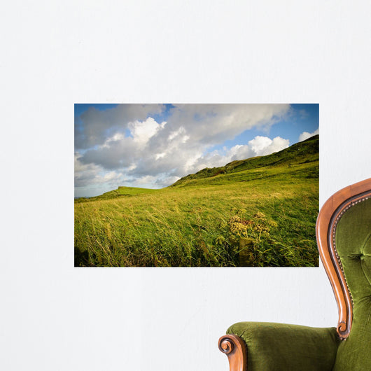 Irish Landscape Wall Mural