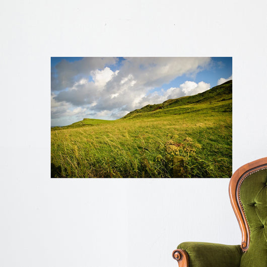 Irish Landscape Wall Mural