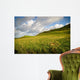 Irish Landscape Wall Mural