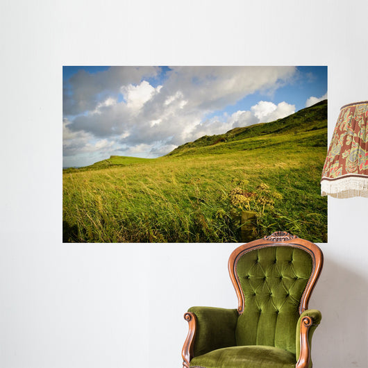 Irish Landscape Wall Mural