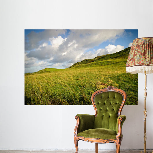 Irish Landscape Wall Mural