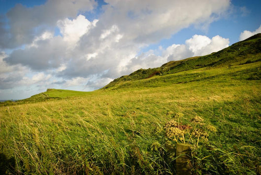 Irish Landscape Wall Mural