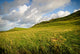 Irish Landscape Wall Mural