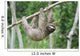 Sloth in Panama Wall Mural