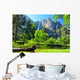 Upper Yosemite Falls, Yosemite NP, California Wall Mural
