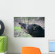 tapir Wall Mural