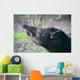 tapir Wall Mural