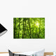 Bamboo Forest Wall Mural
