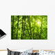 Bamboo Forest Wall Mural