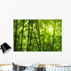 Bamboo Forest Wall Mural